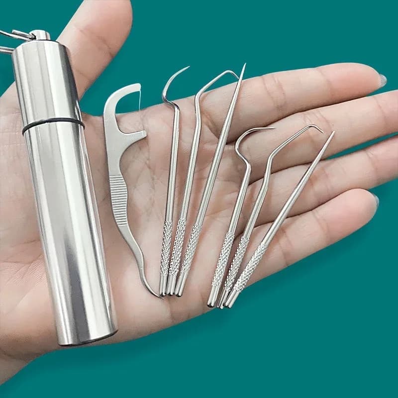 Reusable stainless steel toothpick set with portable case — image 7
