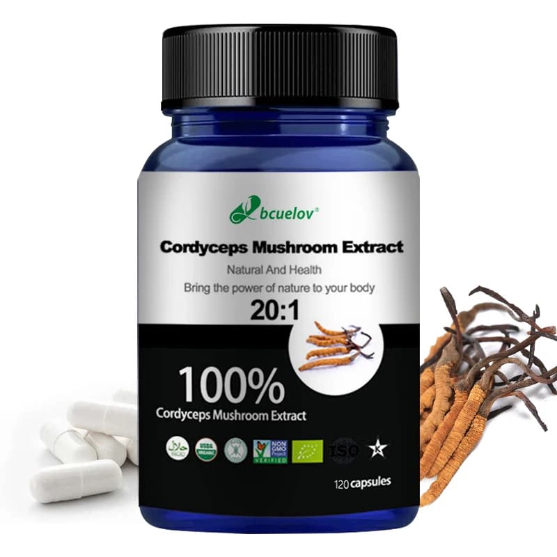 Cordyceps Mushroom Extract – Vegetarian Capsules