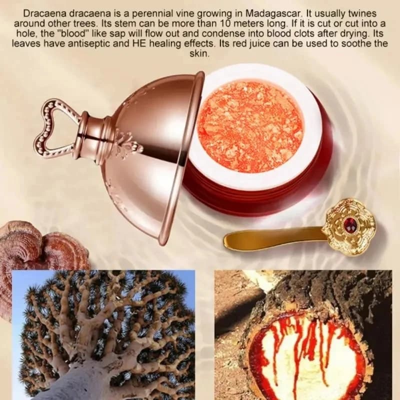Dragon’s Blood brightening face cream tube — image 3