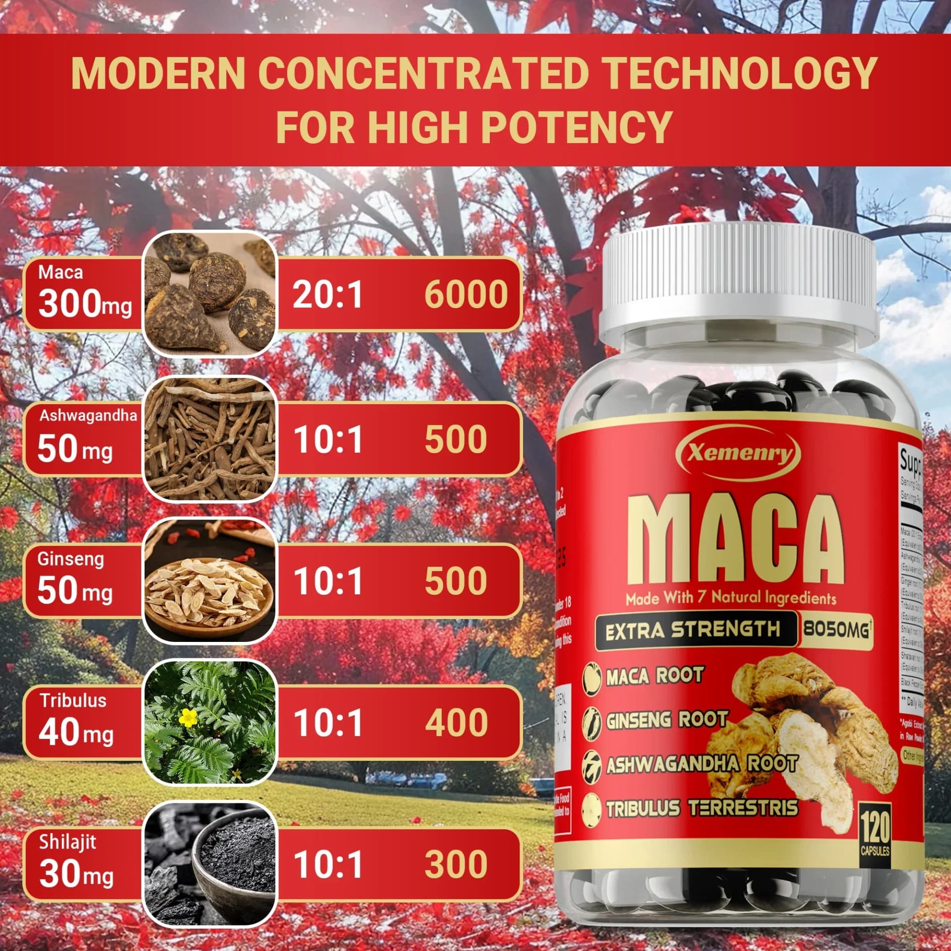 bottles of maca root capsules with ginseng and ashwagandha — image 3