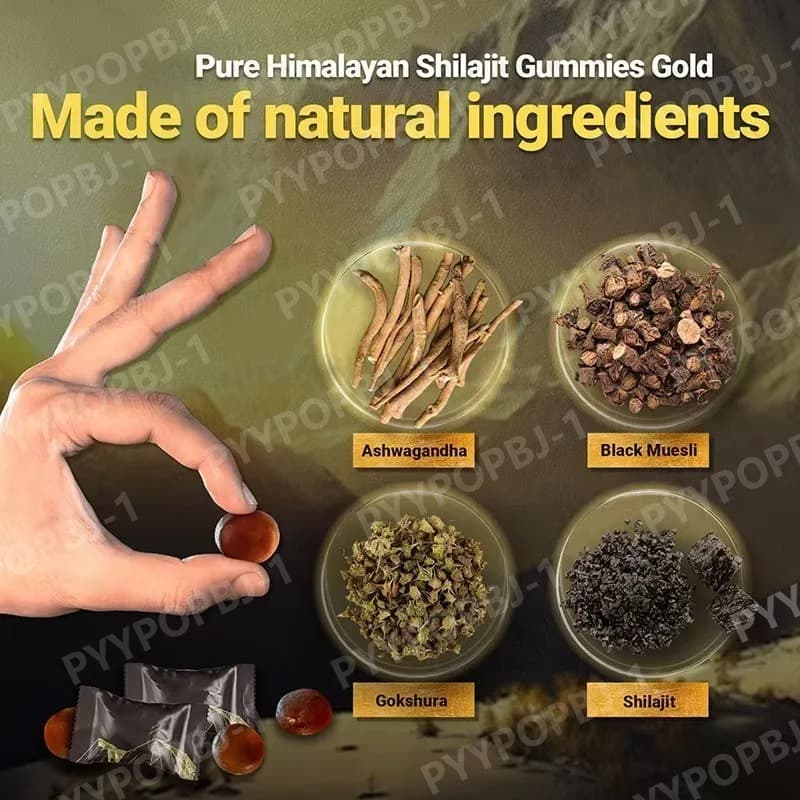 Himalayan shilajit gummies bottle with 60 chewable tablets — image 3