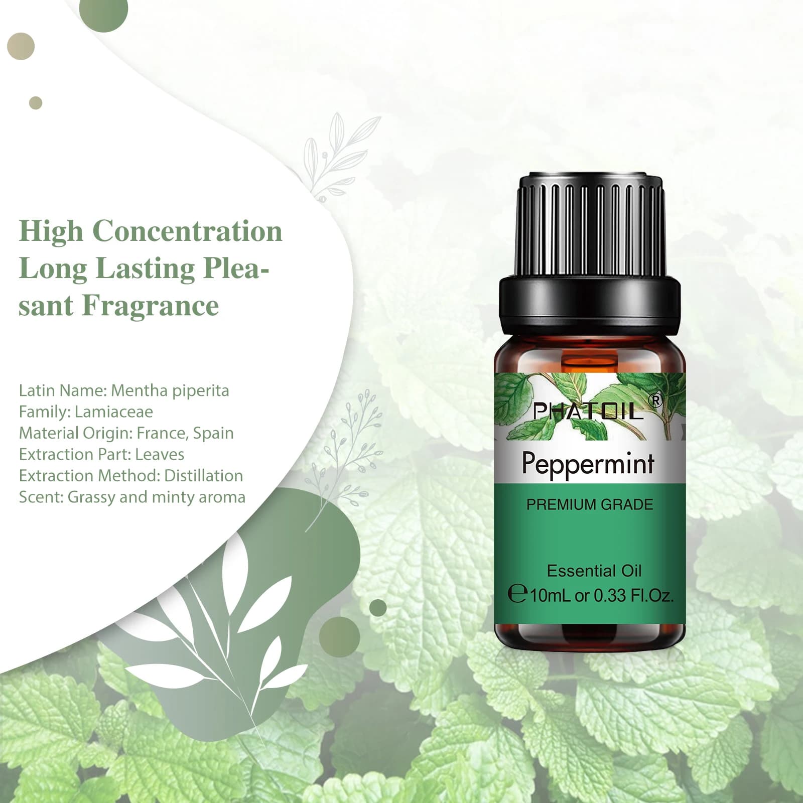 bottle of eucalyptus and lavender essential oil — image 4