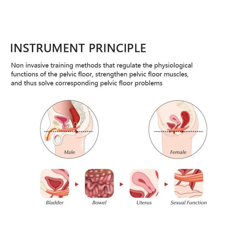 Pelvic floor EMS chair — image 6