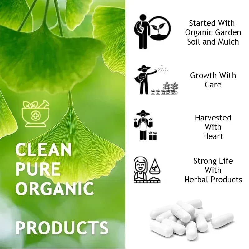 ginkgo biloba 5000 mg extra strength capsules — image 5
