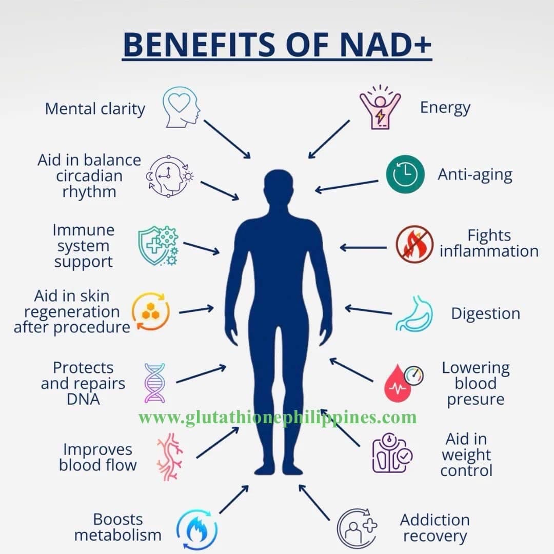 BIO-NAD 100 nicotinamide adenine dinucleotide injection 100mg — image 4