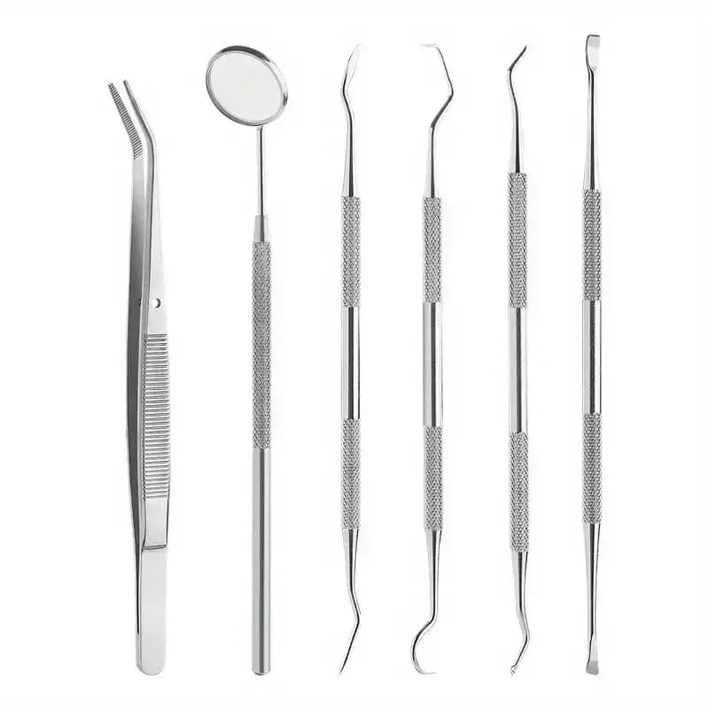 Stainless Steel Dental Oral Care Set