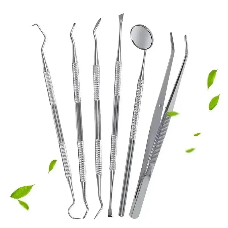 Stainless Steel Dental Oral Care Tool Set