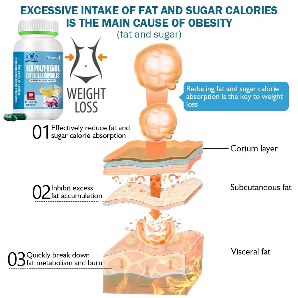 bottle of belly fat burner supplement for women — image 4