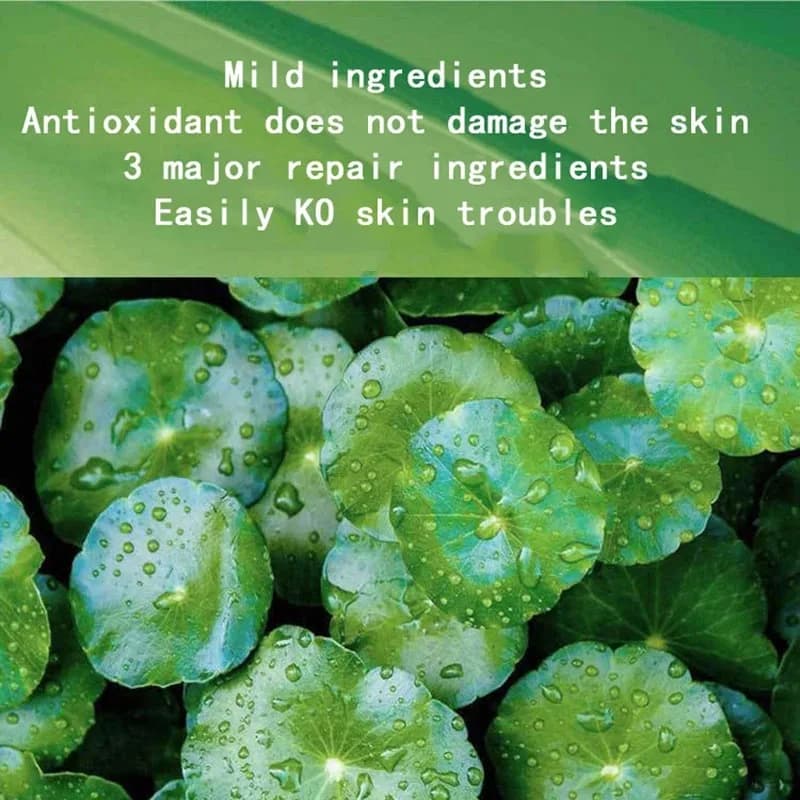 Box of 30 centella collagen sleeping facial masks — image 4