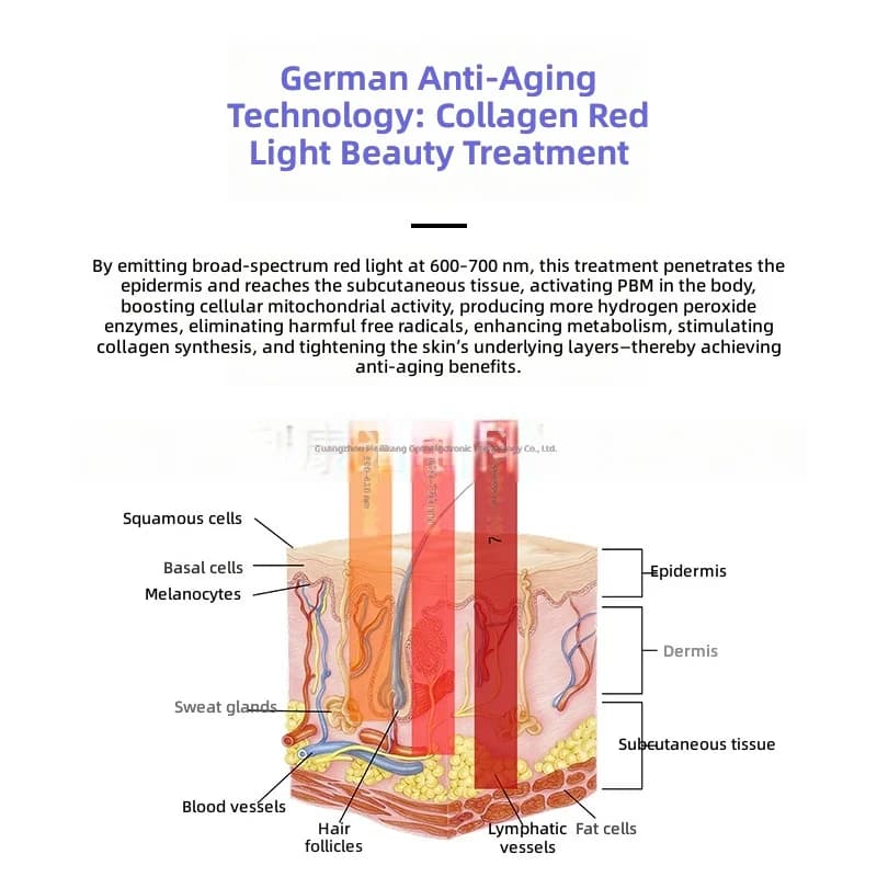 Full-body red light therapy cabin — image 4