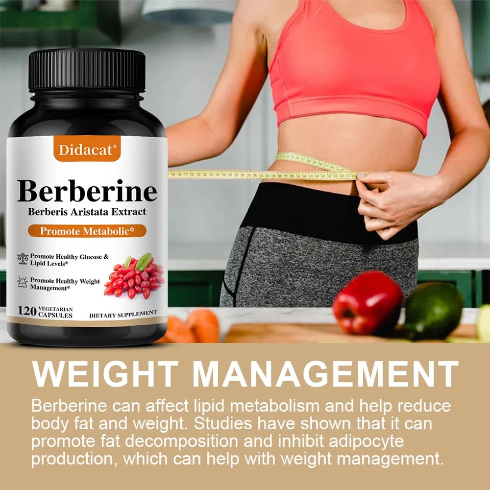bottle of berberine 500 mg dietary supplement — image 6