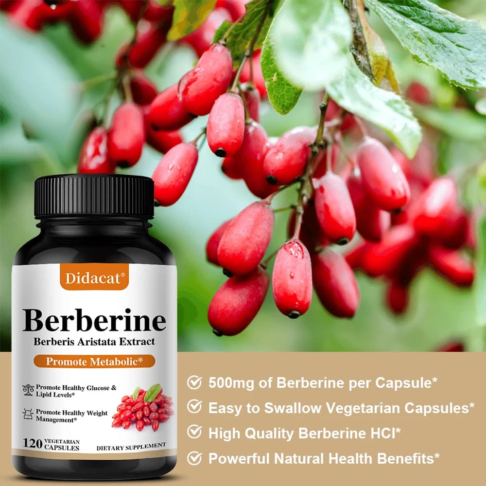 bottle of berberine 500 mg dietary supplement — image 5