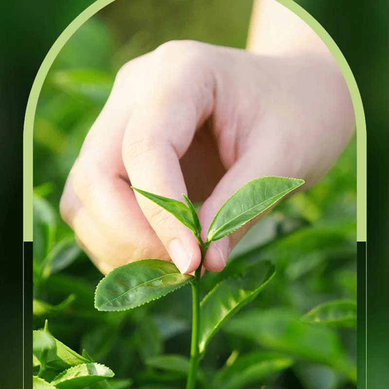 tube of tea tree acne removing cream — image 5
